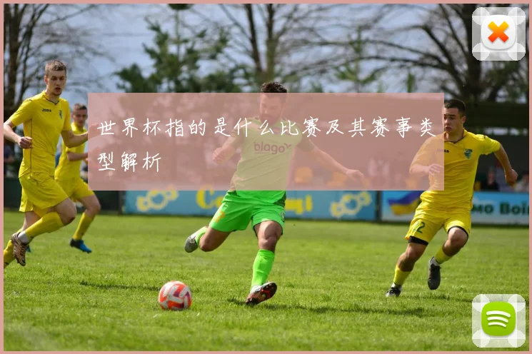 世界杯指的是什么比赛及其赛事类型解析