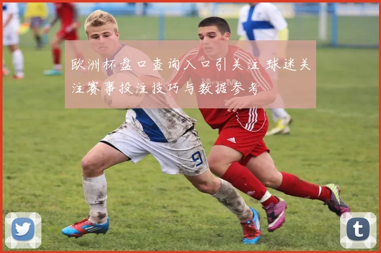 欧洲杯盘口查询入口引关注 球迷关注赛事投注技巧与数据参考